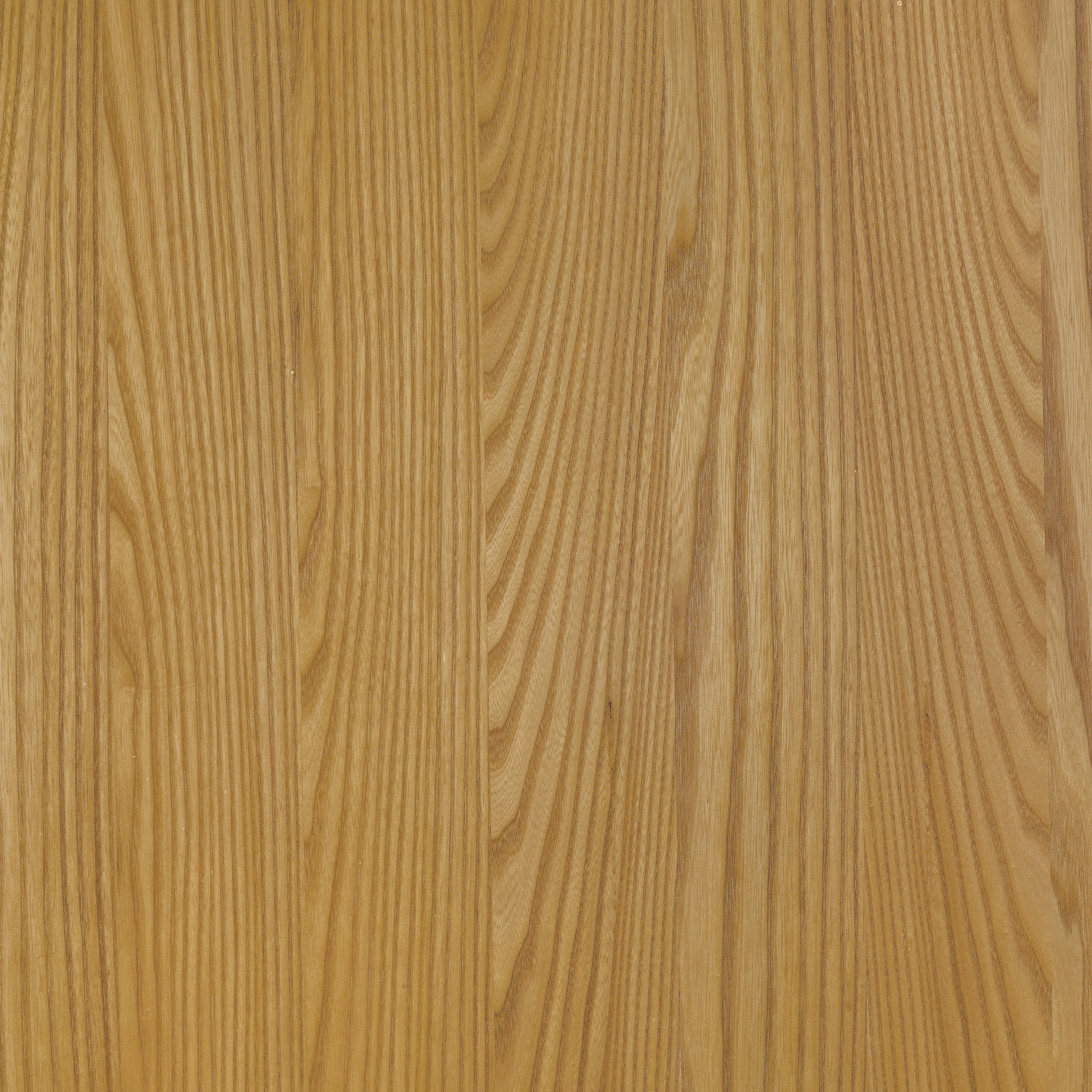 Echtholz-Furnier 083M UIme Honigfarben