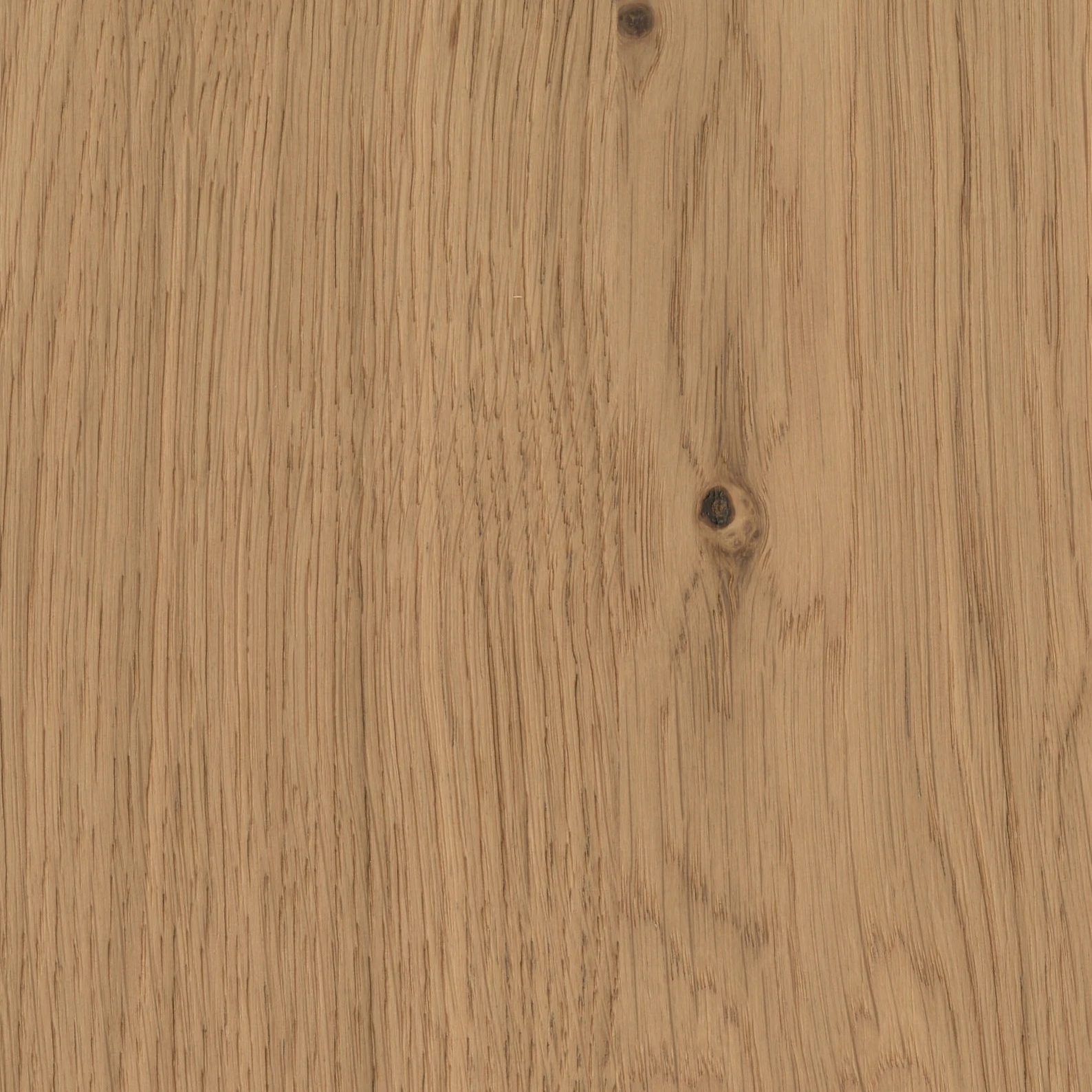 Echtholz-Furnier 086M Eiche Naturholz mit Astmaserungen