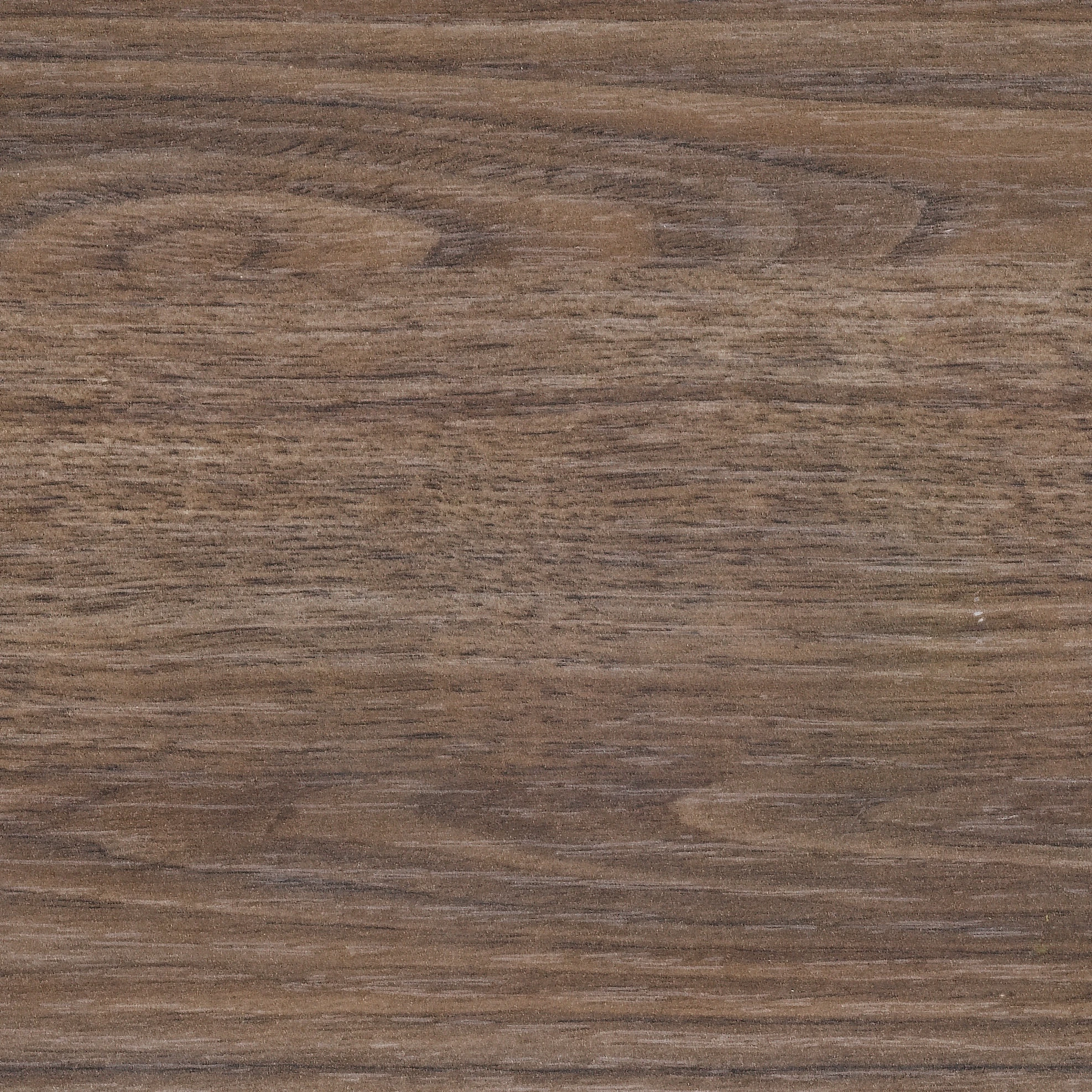 HPL H074 Noce Canaletto