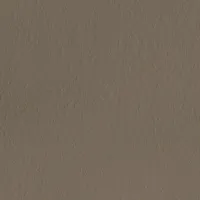 H032 Tortora